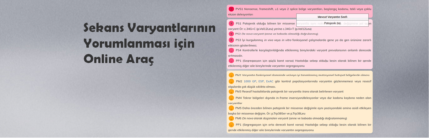 Sekans Varyantlarının Yorumlanması Slide