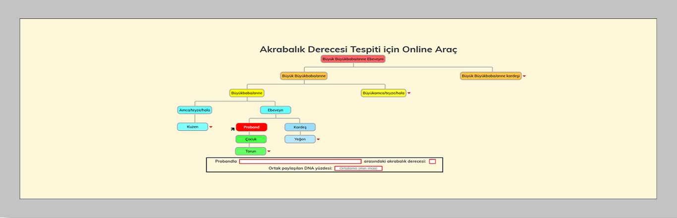 Akrabalık Derecesi Tespiti Slide