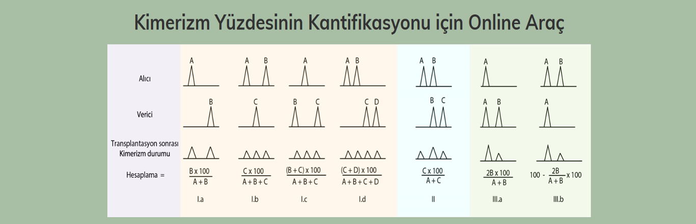 Kimerizm Yüzdesinin Kantifikasyonu Slide