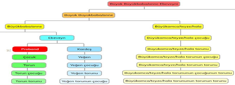 Akrabalık Derecesi Tespiti